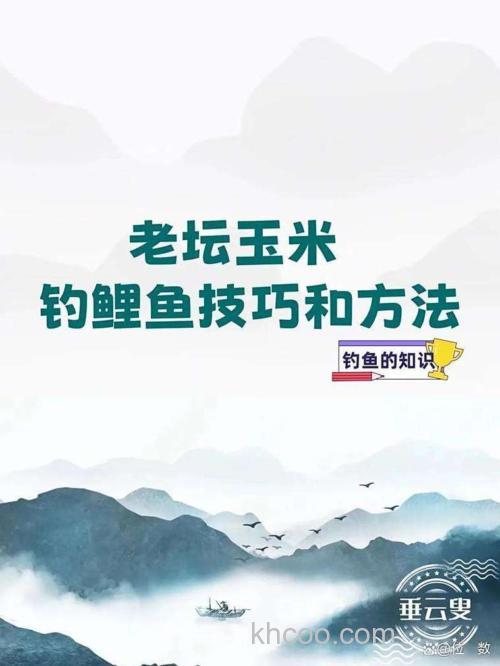 秋天钓鲤鱼用蚯蚓玉米商品饵哪个好？