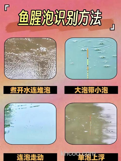 怎么通过鱼泡来辨别什么鱼种？