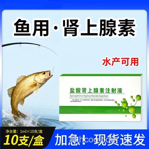 肾上腺素添加到鱼饵里效果怎么样？