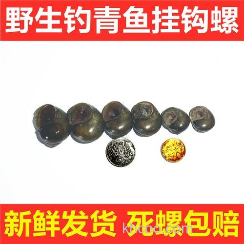 乌青窝料绝密配方？