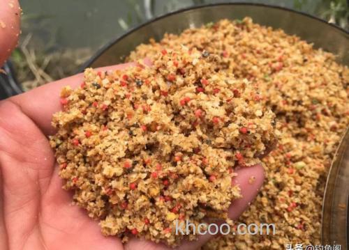 秋天打窝饵料有哪些？