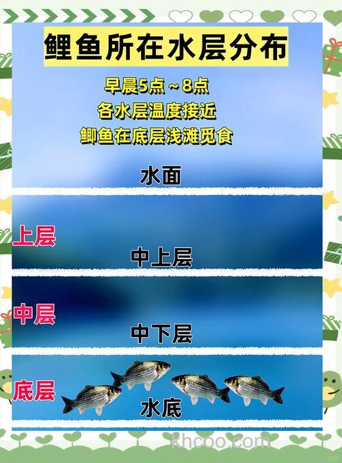 秋季鲫鱼在什么水层活动最多？