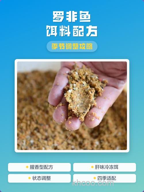 深秋时钓罗非鱼的4个饵料配方