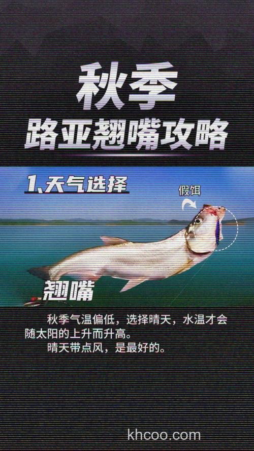 秋天钓翘嘴鱼最佳时间在几点？