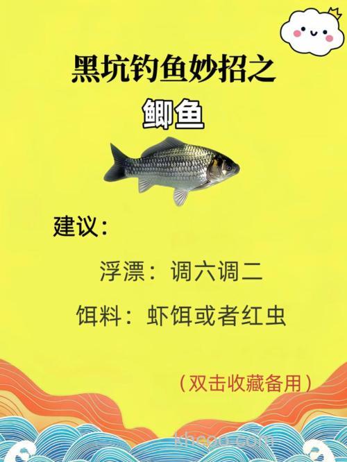 黑坑鱼塘配饵技巧（附老鬼丸九和化氏饵料配方）