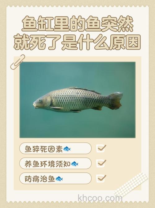 溶氧过高对鱼的危害有哪些？