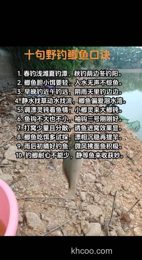 惊蛰前后钓鳊鱼的两个秘诀