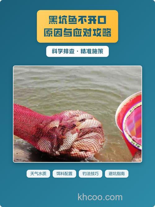 鱼不开口的原因及解决方法