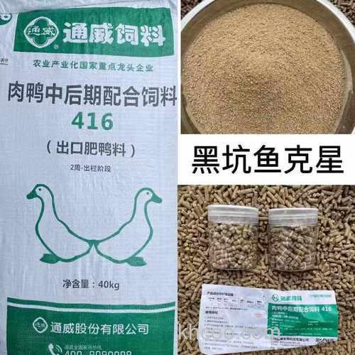 黑坑鸭饲料钓鲤鱼饵料配方？