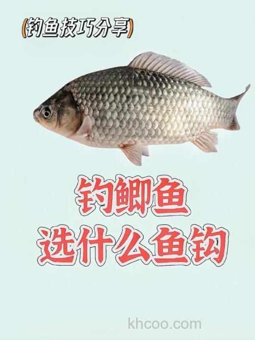 小杂鱼很多的池塘里用什么商品饵钓鲫鱼好用几号钩？