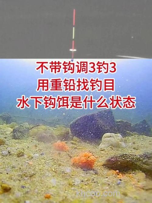 带钩调三钓三和不带钩调三钓三哪个好？