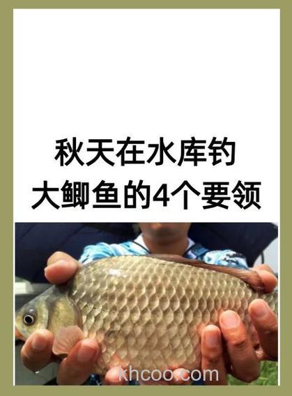 秋天在水库钓大鲫鱼的4个要领
