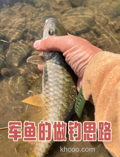 小军鱼怎么钓？