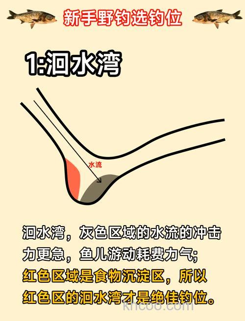河流野钓活水的选位做窝技巧