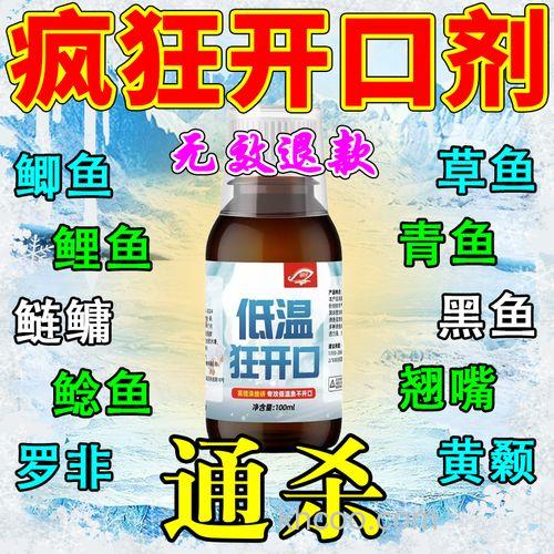 冬天钓鲫鱼用什么小药