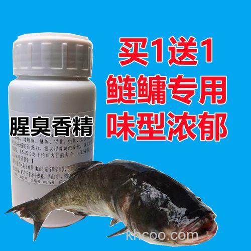 腥味饵料配什么味小药