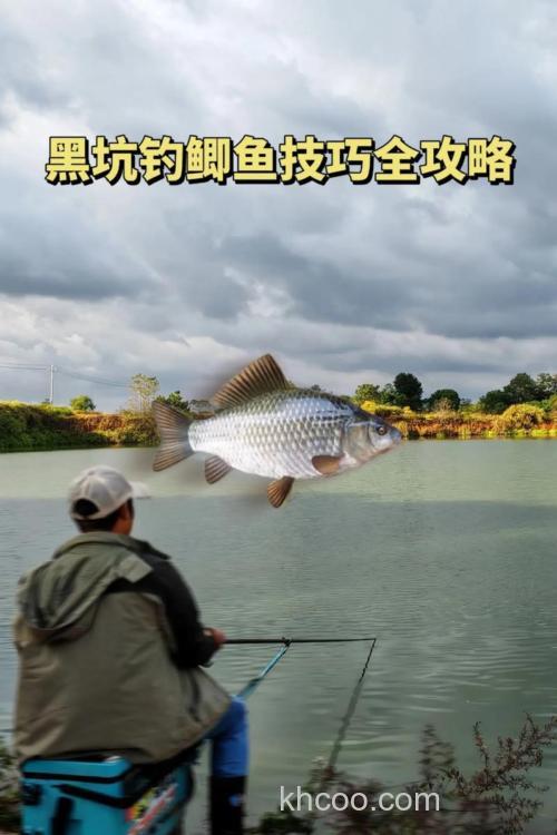 黑坑正钓鲤鱼上岸的思路
