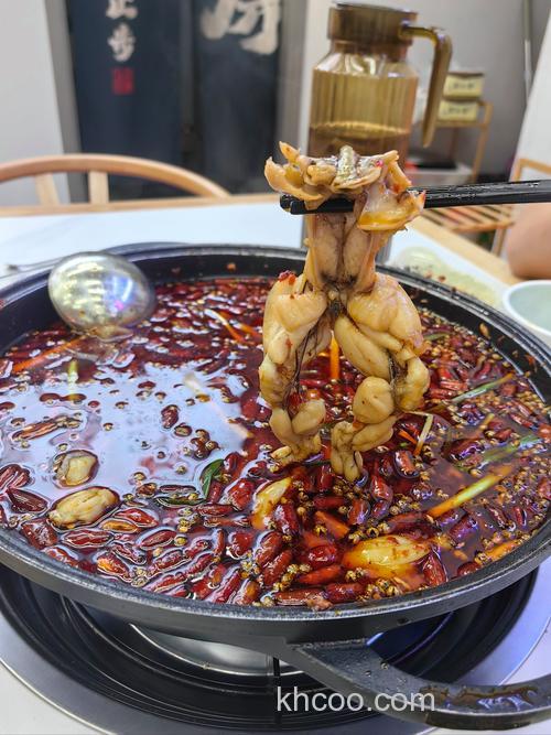 啤酒煮老蚕豆能钓鲤鱼？