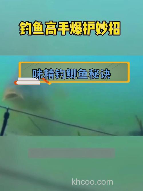 味精钓鲫鱼的正确方法？