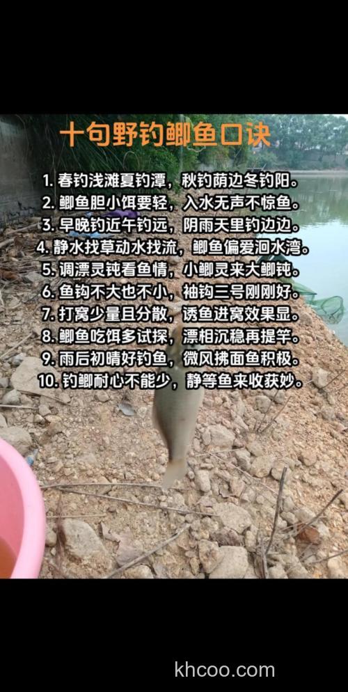 野钓鲫鱼的方法？