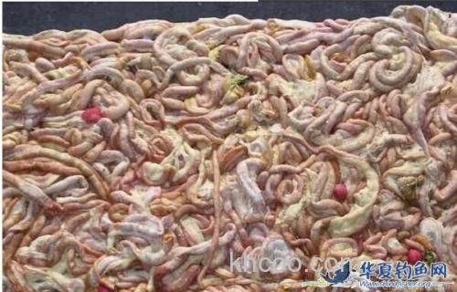 臭了的骨头诱鱼效果好？