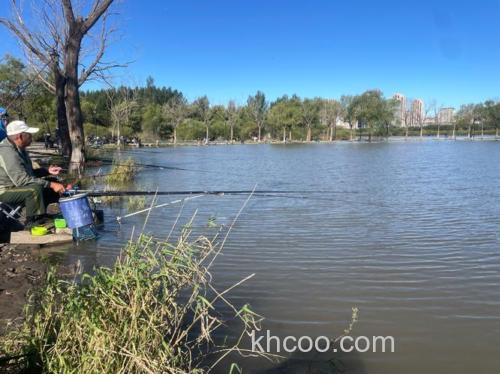 哈尔滨江北野钓地点推荐？