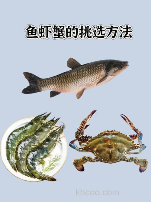 鱼虾蟹鳝鳅混养技术要点有哪些？