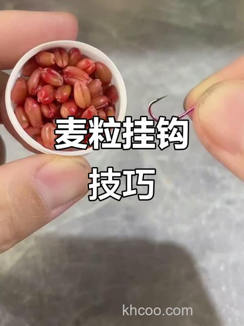 麦子挂钩正确方法？