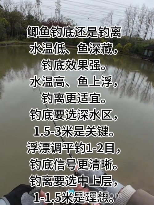 水库钓鲫鱼白天钓不下晚上能钓下是什么情况？