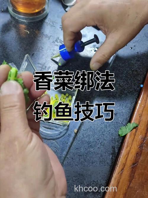 包菜叶可以钓草鱼吗？