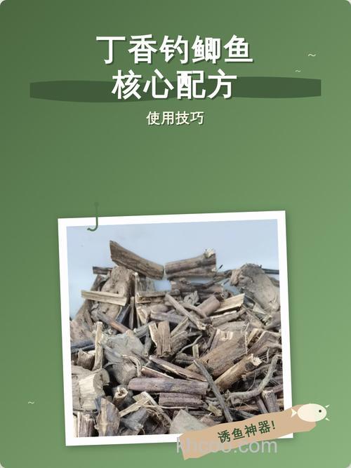 丁香钓鲫鱼最牛配方？