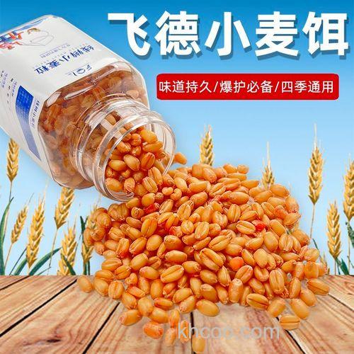 麦仁鱼饵做法？