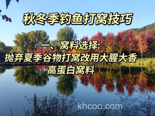 秋季钓鱼打窝多久发窝？