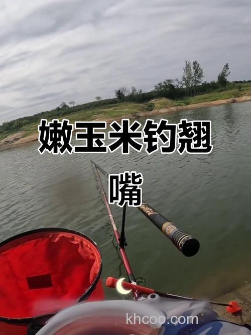 嫩包谷怎么钓翘嘴？