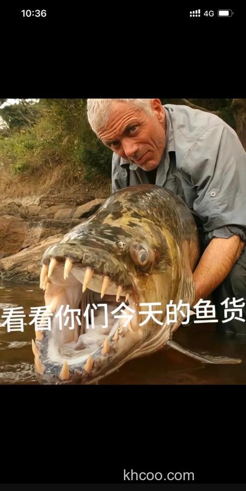 世界钓鱼大师排名前十名？