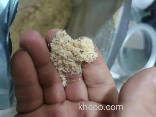 降温当天有哪些饵料可以用呢？