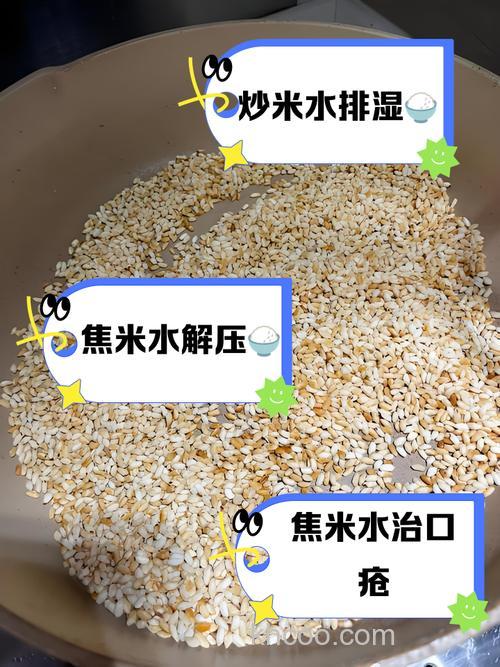 用大米泡饵料怎么泡？