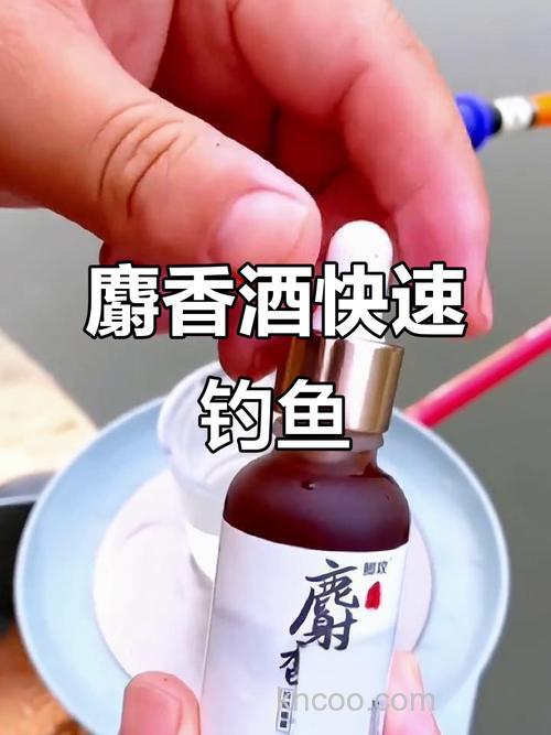 麝香酒钓鱼正确的方法