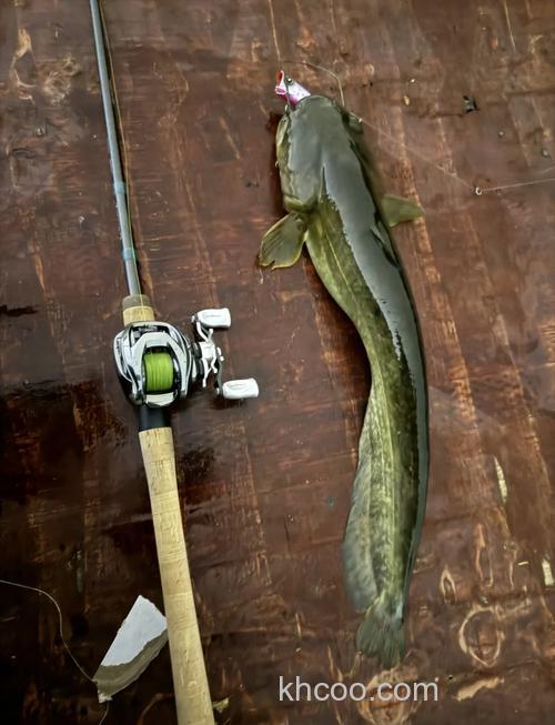 老战友忆钓篇-4米5手竿钓获22斤大鲶鱼