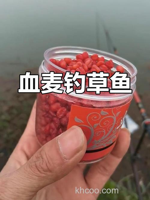 血麦钓鱼真实效果？