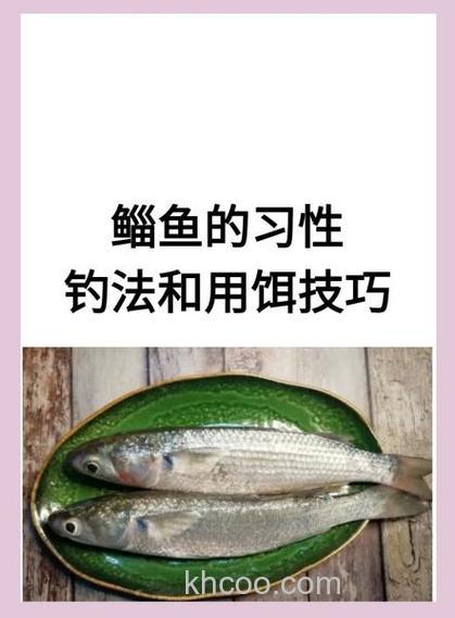 钓鳊鱼什么时候最好钓