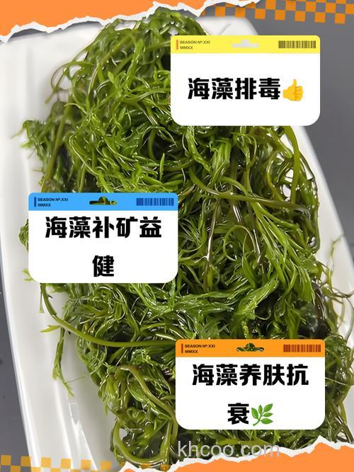 海藻鱼的绝密配方？