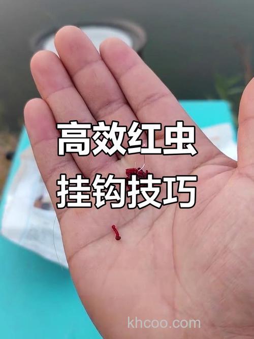 大红虫颗粒钓鲤鱼挂法？