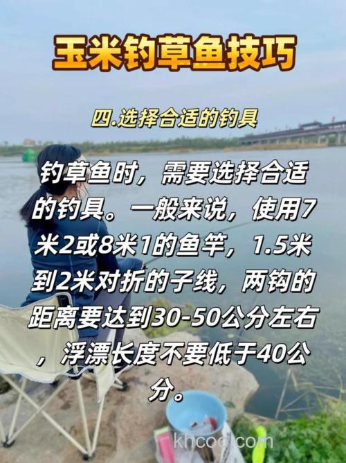 钓草鱼用玉米子如何钓