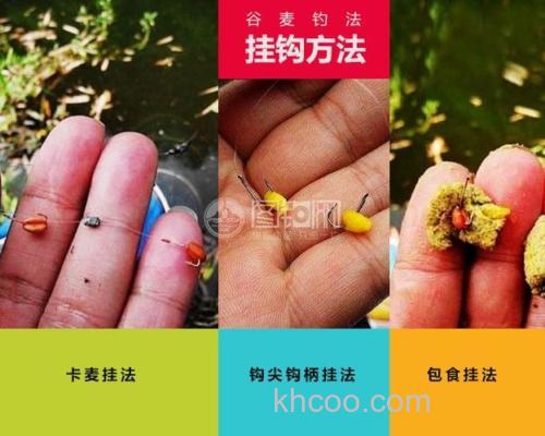 麦粒钓鱼教学？