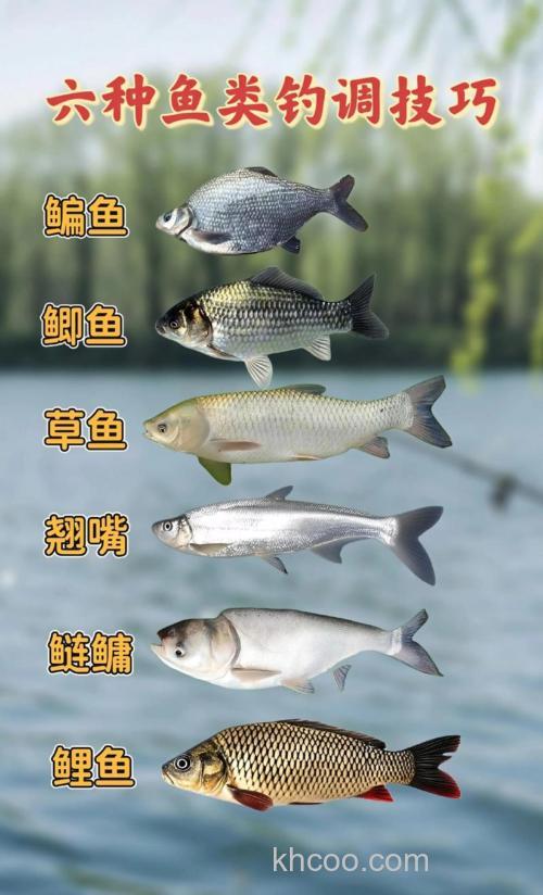各种鱼的特性和经典钓法钓技