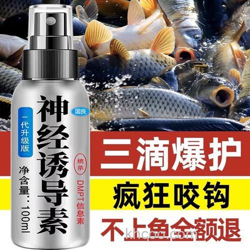 黑坑钓鲤鱼加什么小药好？