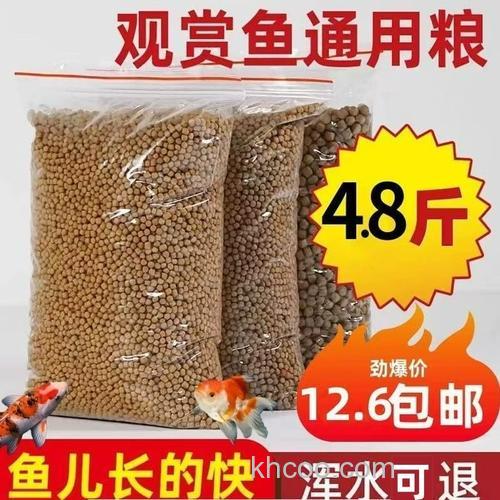 小金鱼的饲料小鲫鱼能吃吗？