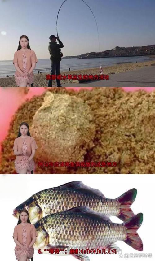 羊油和商品饵钓鲫鱼的正确方法？