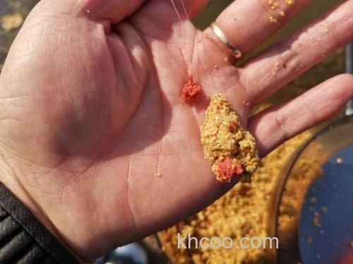 钓鱼补窝后为什么会停口？